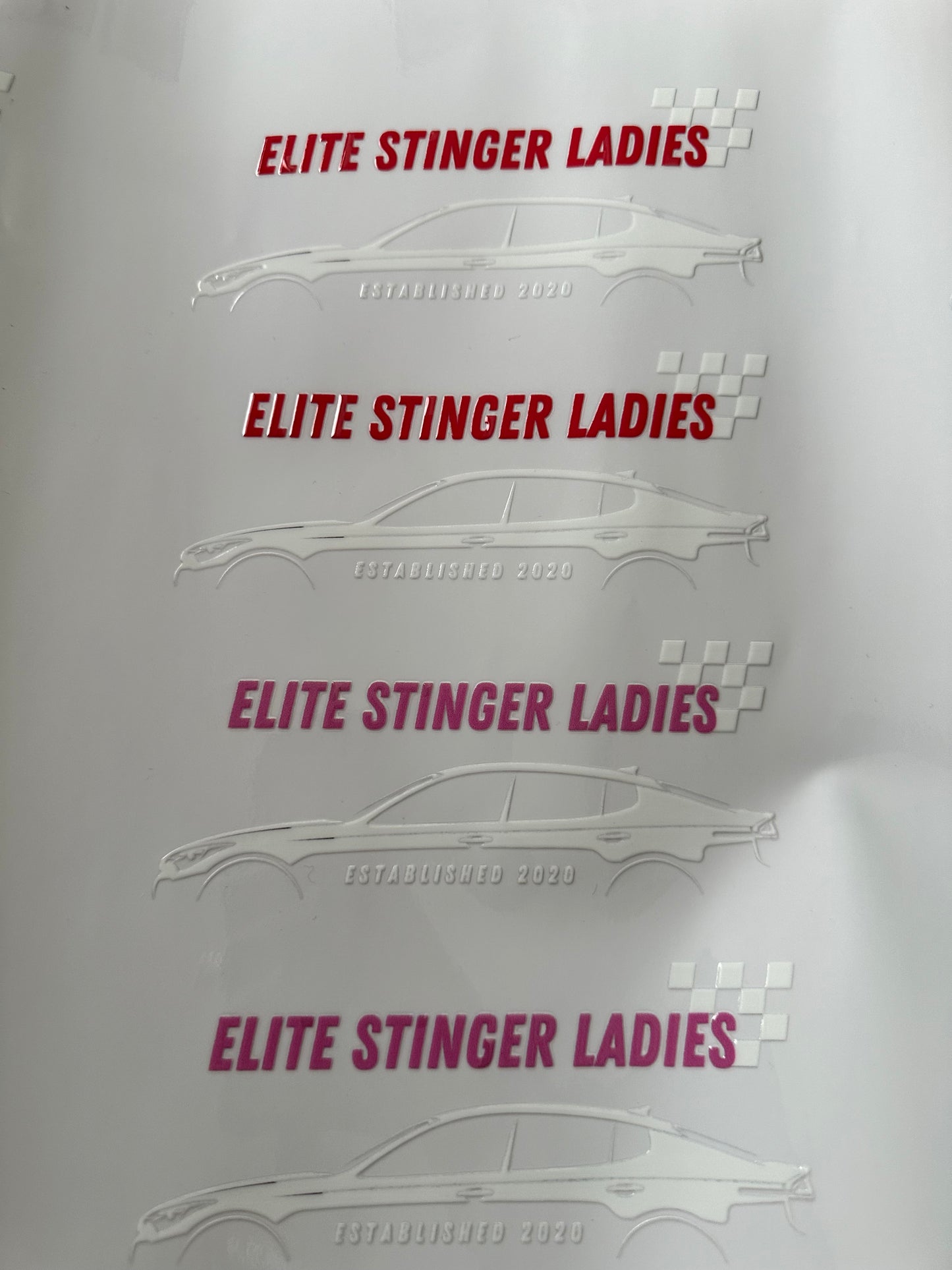 Elite Stinger Ladies Decal